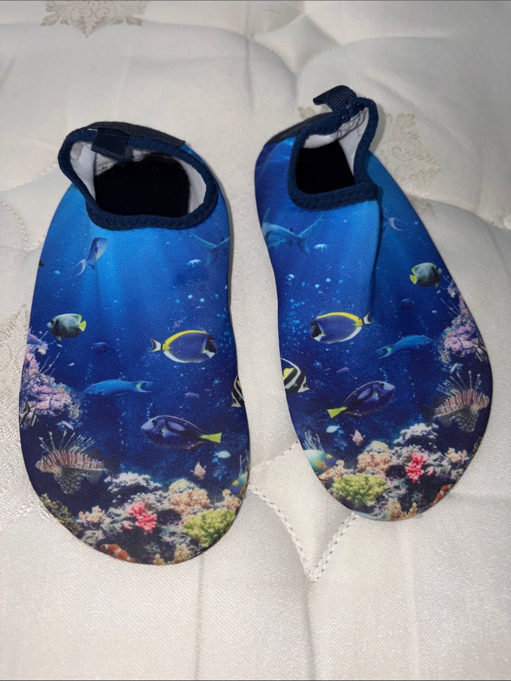 Kids Ocean Fish Water Shoes - Blue